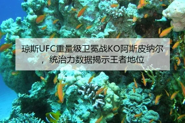 琼斯UFC重量级卫冕战KO阿斯皮纳尔，统治力数据揭示王者地位