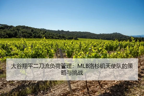 大谷翔平二刀流负荷管理：MLB洛杉矶天使队的策略与挑战